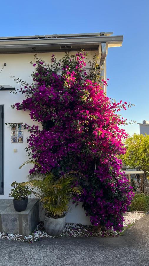 Plumeria Holidays Saint Pierre Buitenkant foto